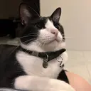 倉田 唯愛のプロフィール画像