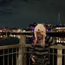 菊地 汐音のプロフィール画像