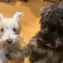 M.Wish さつきのプロフィール画像