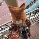 清 亜由佳のプロフィール画像