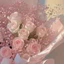 咲耶 sakuyaのプロフィール画像