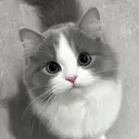 BST KANDAのプロフィール画像