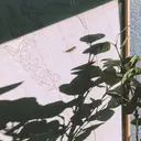 feliz KAORI🦋🫧のプロフィール画像