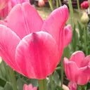 小林 紗緒里のプロフィール画像