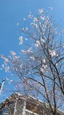 中尾 遥のプロフィール画像