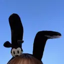 Horii ⌇ ROMMのプロフィール画像