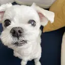 natsuki 〜🩵のプロフィール画像