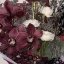 eight MIKAのプロフィール画像