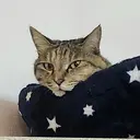 Nail salon K TOMO西川越のプロフィール画像