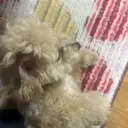 堀川 愛翔のプロフィール画像