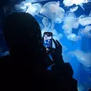 Amaris タカハシのプロフィール画像