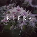 Rino / Moaのプロフィール画像