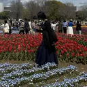 森本 朝香のプロフィール画像