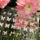 🌈 Cocoネイル 高田馬場店✨のプロフィール画像