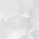 miel🤍 inabaのプロフィール画像