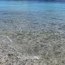 柊 明凛のプロフィール画像