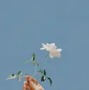 石塚 愛里のプロフィール画像