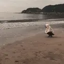 ✂︎　田倉 駿人　✂︎のプロフィール画像