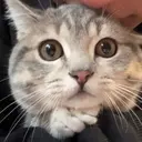 E.N🦋 長さ出し/持ち込みのプロフィール画像