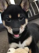 Blanc 粕谷のプロフィール画像