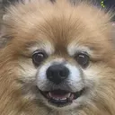 MEI /リル川西店のプロフィール画像