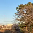 星野 光汰のプロフィール画像