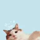 けいこ꙳✧˖° 脱毛¦エステのプロフィール画像