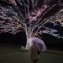 掲載テスト中、予約 受け付けておりませんのプロフィール画像