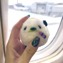 LUMIAS Rikaのプロフィール画像