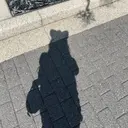 松本 あおいのプロフィール画像