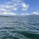 小宮 美羽のプロフィール画像