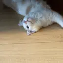 村田 紀里のプロフィール画像