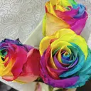 ネイルサロン Cherishのプロフィール画像