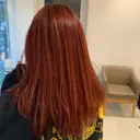 岡﨑 怜奈のプロフィール画像