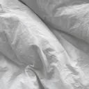 RISA 🍒のプロフィール画像