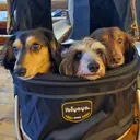 ユウカ prish 練習生のプロフィール画像