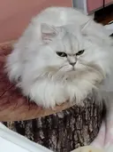 後藤 恵美のプロフィール画像