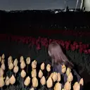 Rosso春日部店/ 上野心のプロフィール画像