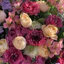 望月 はるかのプロフィール画像