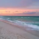 RIZE EYEのプロフィール画像