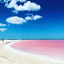 Kikumori 🌿RAMAのプロフィール画像