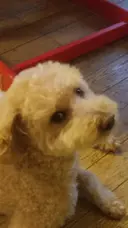 川邊 リョウコのプロフィール画像