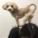 Bianca阿佐ヶ谷 かやしま🫧のプロフィール画像