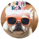 yupieee♡ eyelashのプロフィール画像