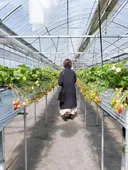 アシスタント 菊池のプロフィール画像