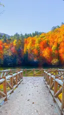 カラー特化Eir 田嶋のプロフィール画像