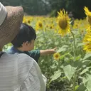 Luccica nailのプロフィール画像