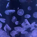 Makea 浦和美園のプロフィール画像