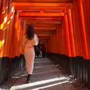 neroli❁ satoのプロフィール画像