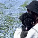 かりん ♪のプロフィール画像